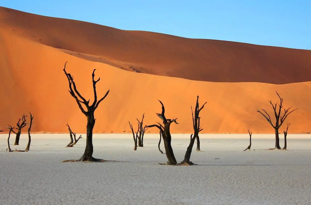 A desert in Namibia